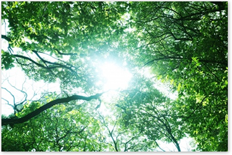 太陽光発電量の違いと要因